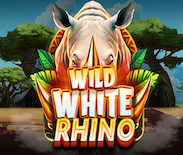 Wild White Rhino